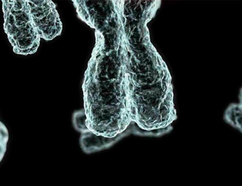 Anomalie Cromosomiche