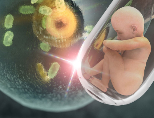 Sindrome dell’X-Fragile: quali implicazioni nella vita riproduttiva?