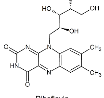 riboflavina