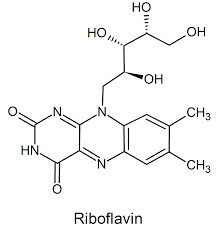 riboflavina