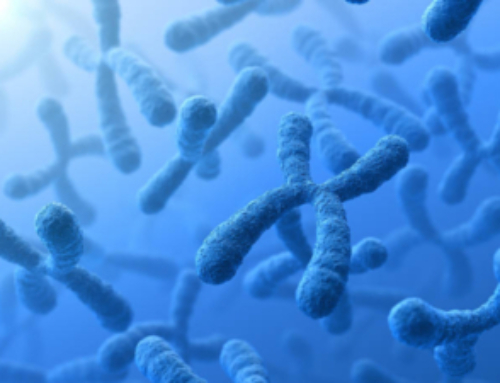Aborto e Analisi Citogenetica: chiedilo al genetista