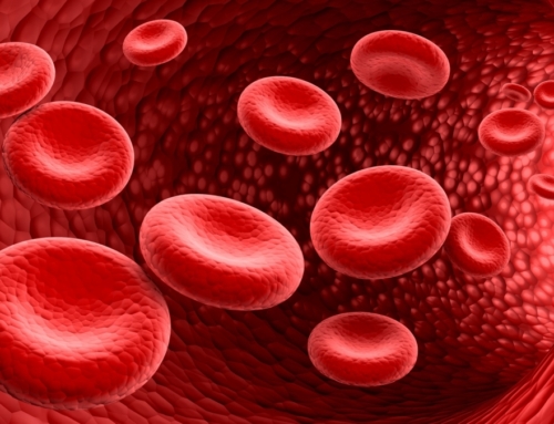 Talassemia, cosa è e perché è importante conoscerla